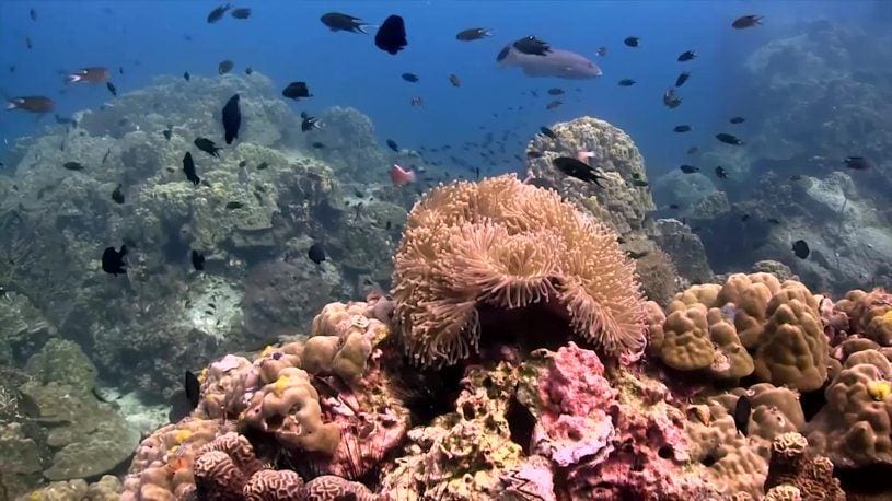 anandavilla.com kohtao thailand padi scuba diving course